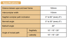 Load image into Gallery viewer, Spacy Articulator (Semi-Adjustable), Wing