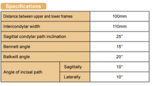 Load image into Gallery viewer, Spacy Articulator (Average Type), Arcon
