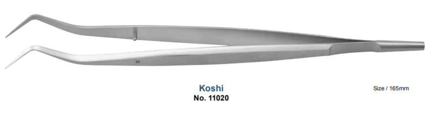 Dressing Tweezers, Kyoshi